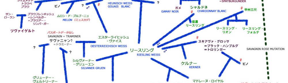 ホイニッシュ・サヴァニャン